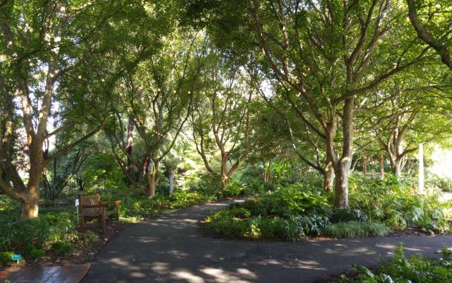 HahnShadeGarden1_1fd655c6-5056