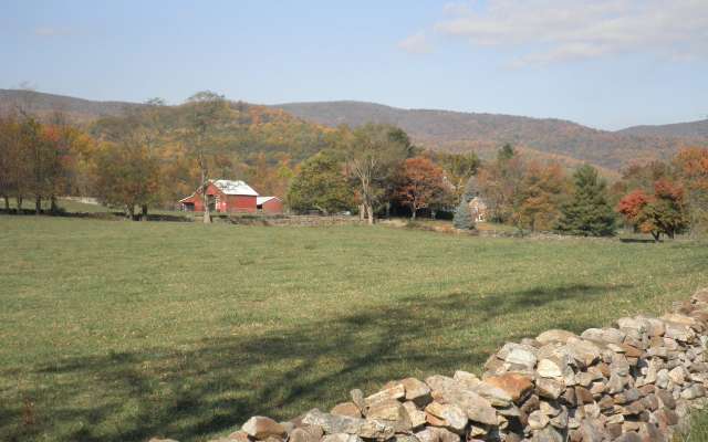 Caledonia Local Farms