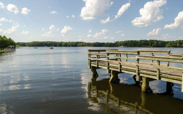 Wildlife Areas near Lake Chesdin