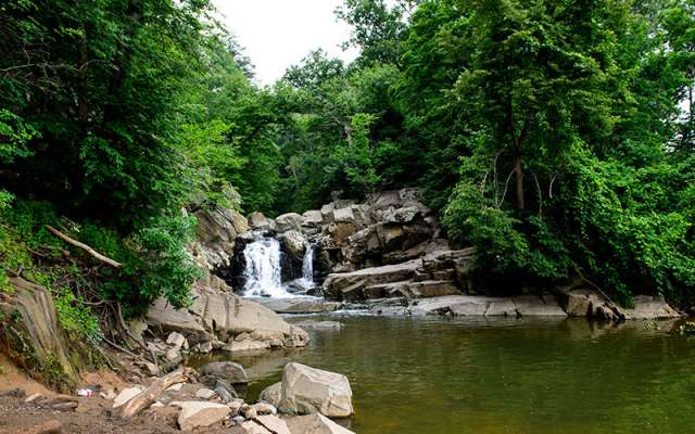 Scott Trail