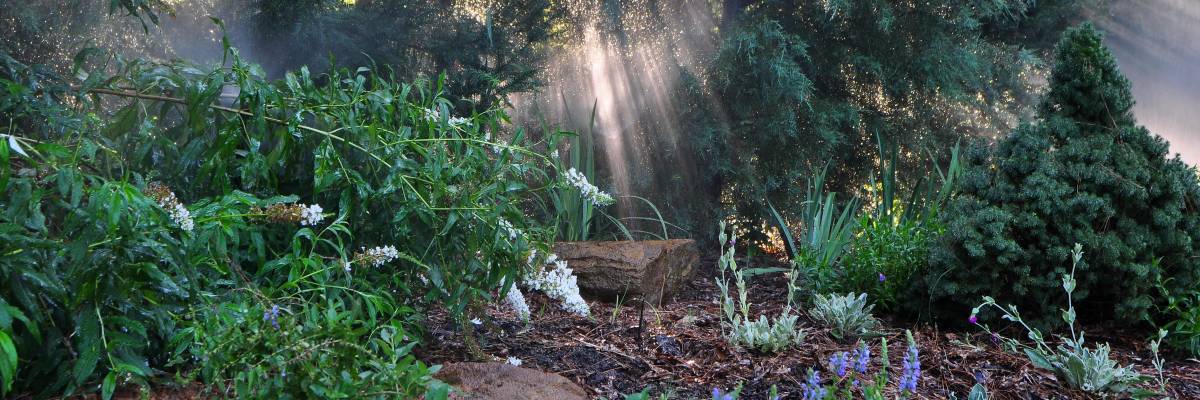 garden1