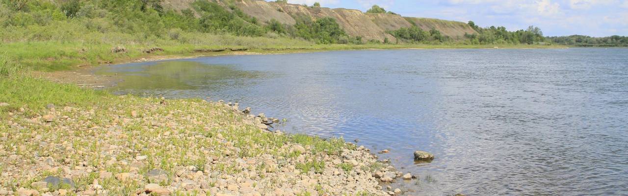 Poplar Bluffs