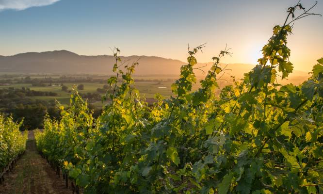 What To Pack And Wear In The Napa Valley Travel Tips Seasonal