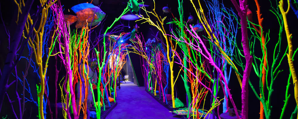 Meow Wolf Neon Trees