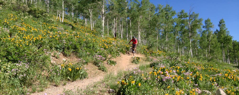 Spring Creek Trail