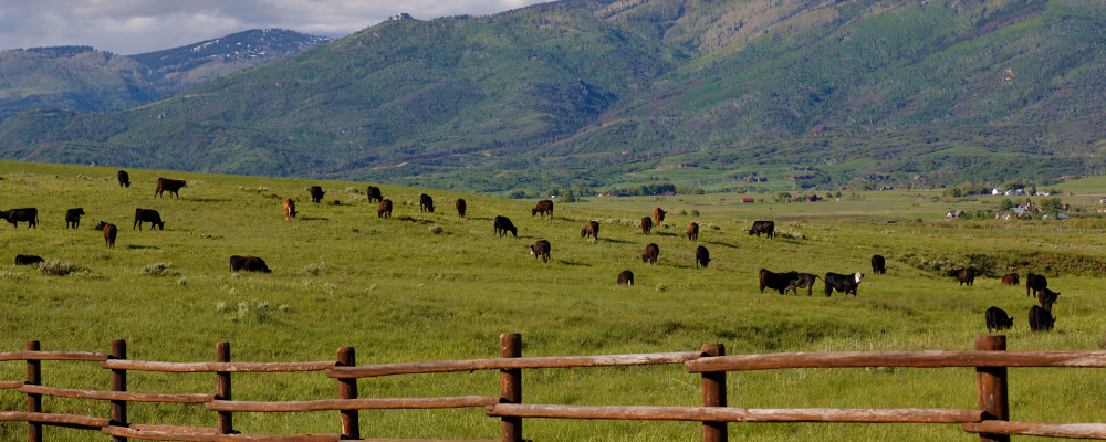 Explore Steamboat's Western Side