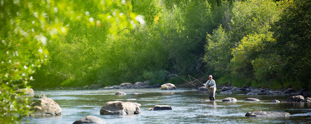Fly Fishing Spring Yampa River