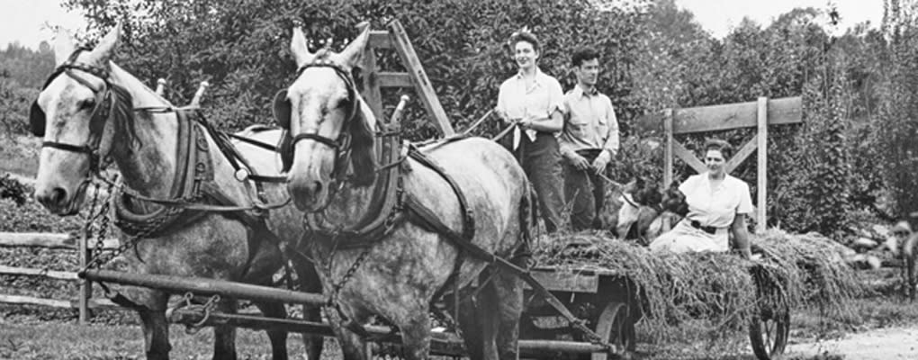 Catherine Filene Shouse - Wolf Trap Farm