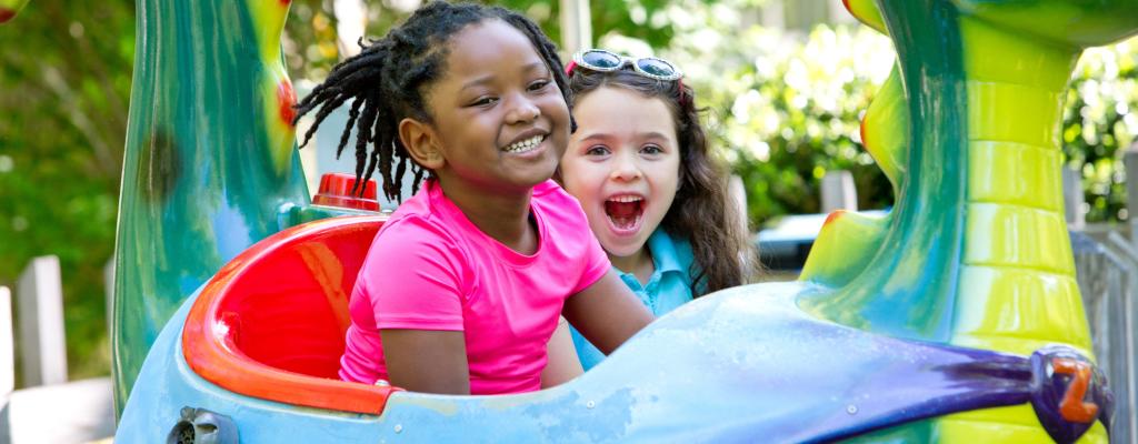 giant eagle idlewild park coupons