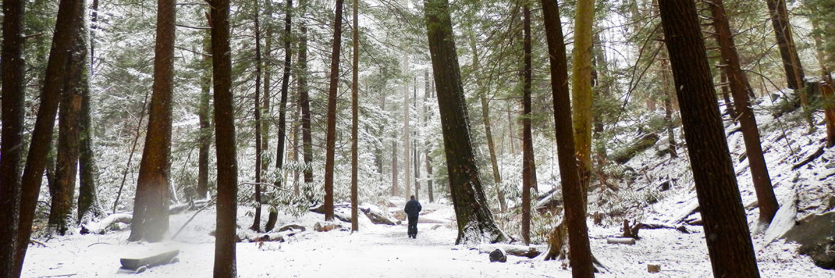 Cross Country Skiing and Snowshoeing