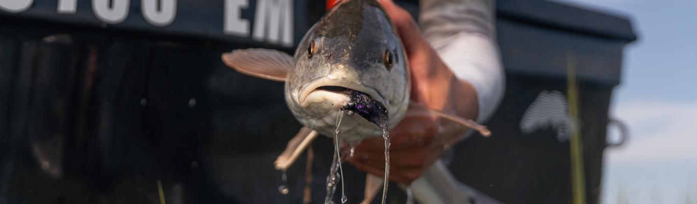 6 Tips To Keep Your Bait Alive Longer (And Catch MORE FISH)