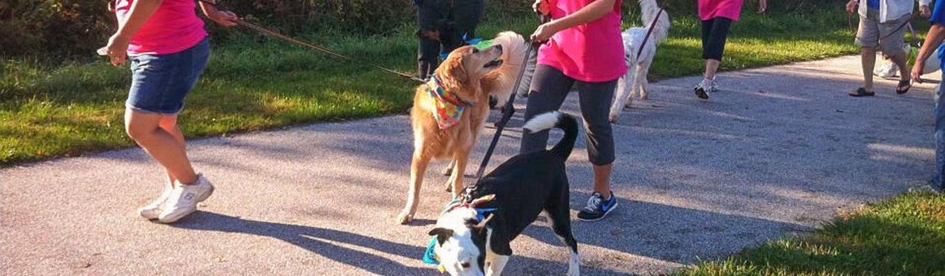 best places to walk your dog near me