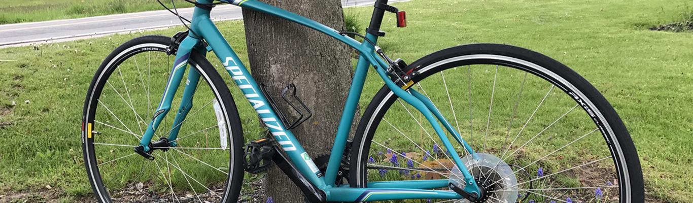 Finger Lakes Bike Trails Outdoor Activities National Bike Month