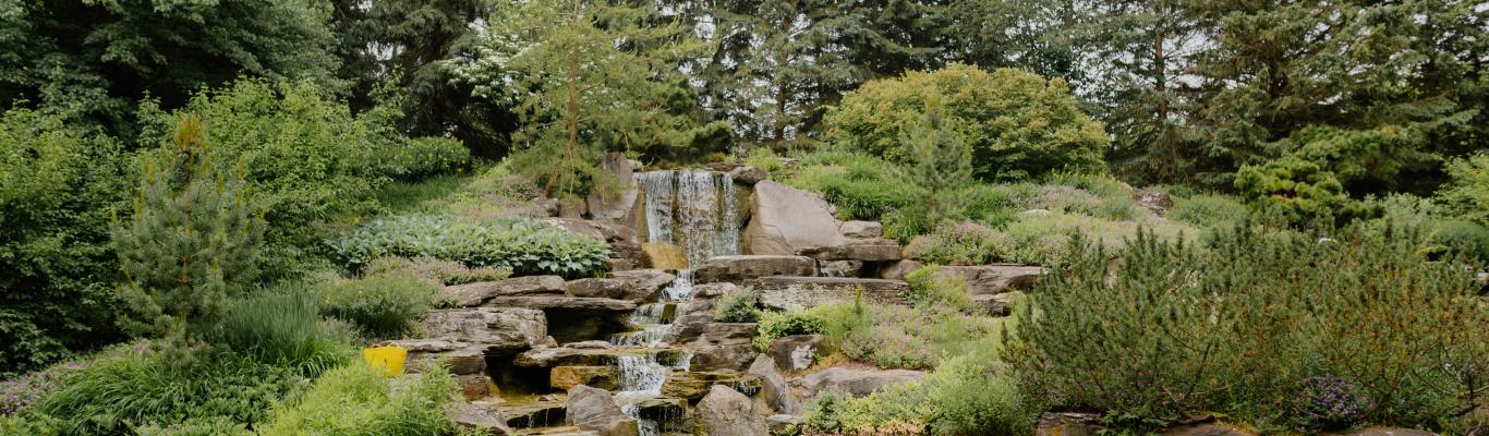 Meijer Gardens Concert Series - 2025 Preview
