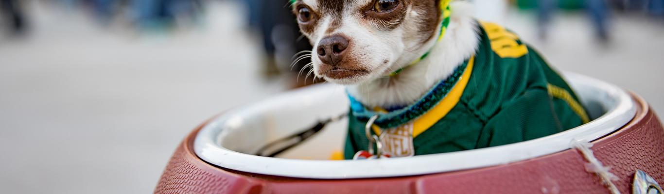 Get Gameday Ready, Green Bay Style