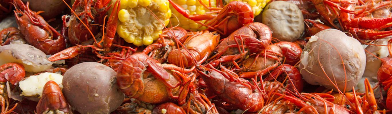 Crawfish Festival 2022 Biloxi Ms