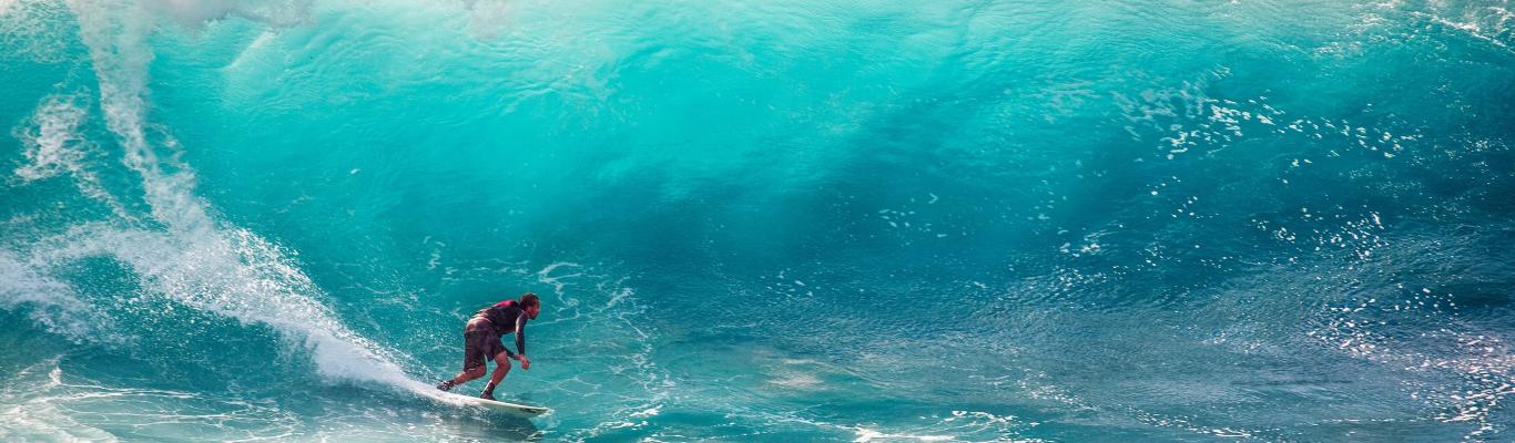 Surf S Up In Los Cabos