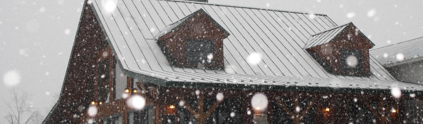 Top 5 Winter Activities In Loudoun County Virginia