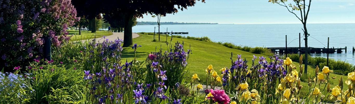 Spring flowers along Mariners Trail in Manitowoc