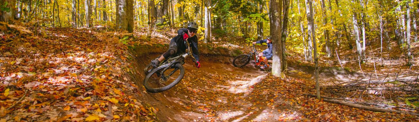 Ntn bikes top