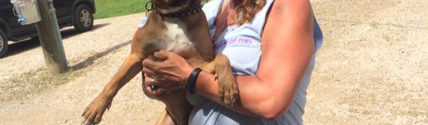 Good Karma Animal Rescue of MN: The Little Rescue That Could