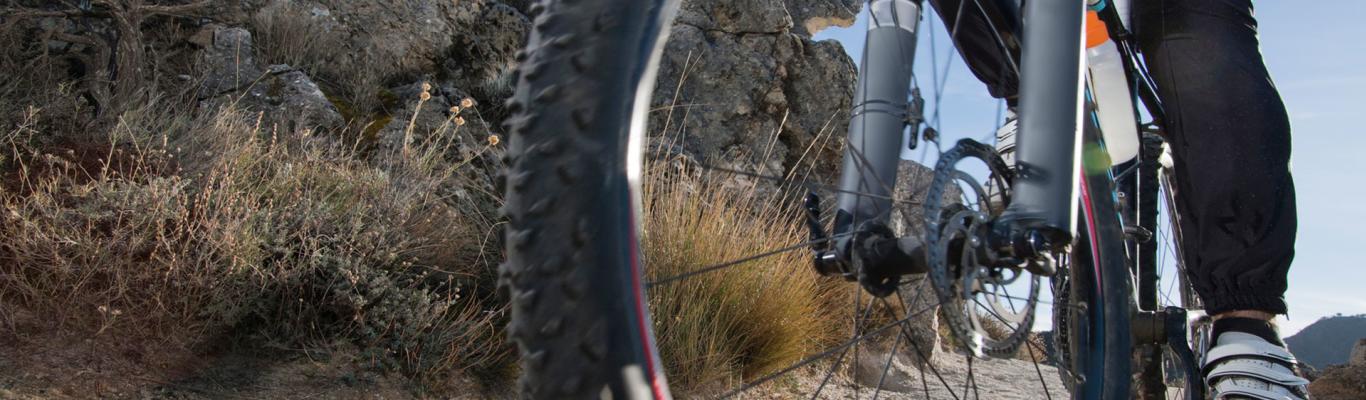 joshua tree mountain biking