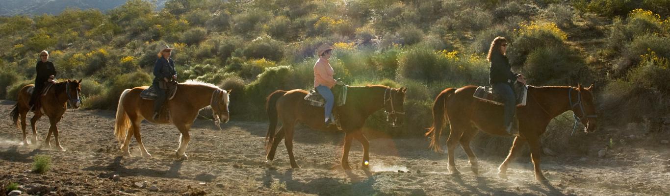 Discover Arizona's Wild West