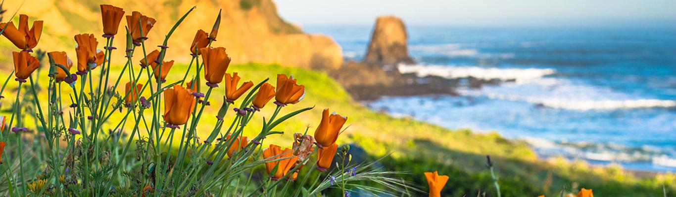 Outdoor Activities In San Mateo County Silicon Valley Hiking