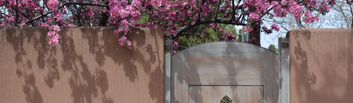 Santa Fe Gardens In Bloom