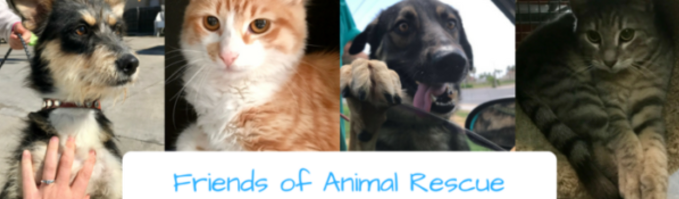 Friends of Animal Rescue