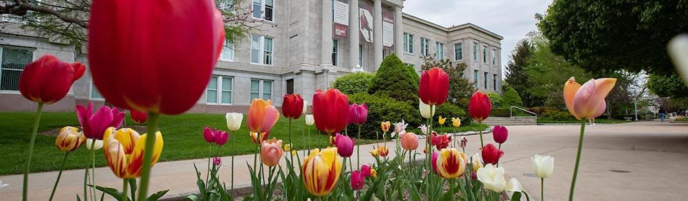 Great Deals For College Students In Springfield, Missouri