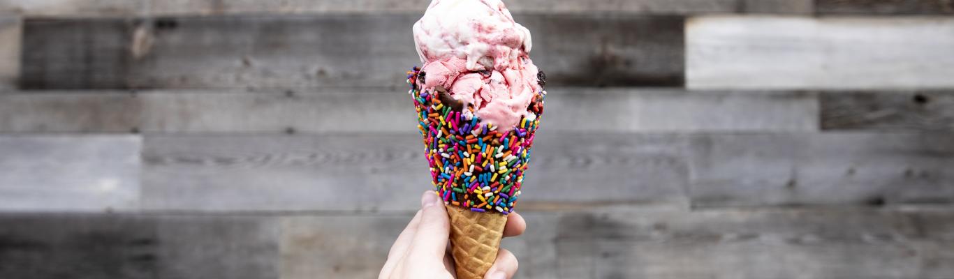 best ice cream in a bolsa recipe