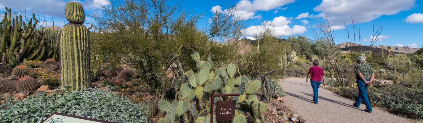 Arizona-sonora Desert Museum Exhibits