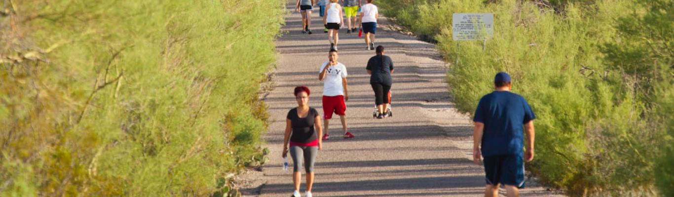 best hikes mt lemmon