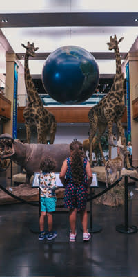 My Curly Duo at BYU Bean Museum