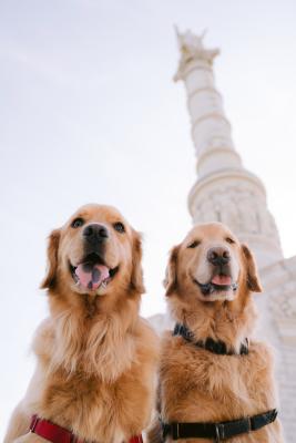 koa and lily victory monument