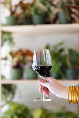 hand holding wine glass