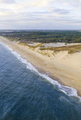 Delaware Seashore State Park.jpg