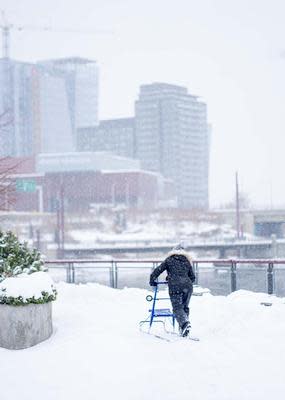 Kicksledding downtown