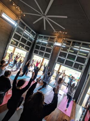 Yoga at Cattail Marsh Wetlands Center