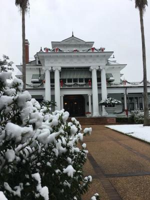 mcfaddin-ward (snow)
