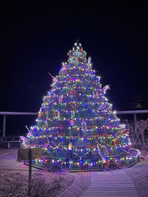 lobster pot tree smaller