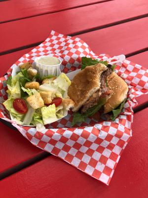 Bison Burger