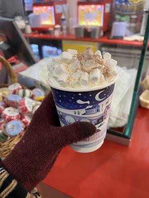 A marshmallow and cream topped hot chocolate from Colchester Zoo.