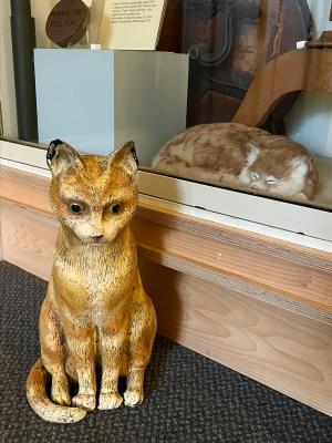 Cats at Hollytrees Museum