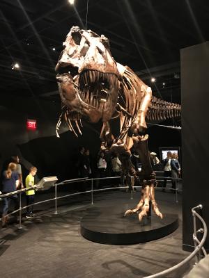 COSI T-Rex