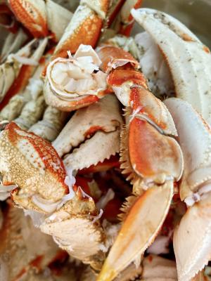 Dungeness Crab | Crab Season in SF 