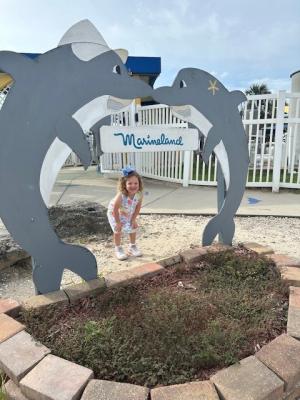 Sea Squirts