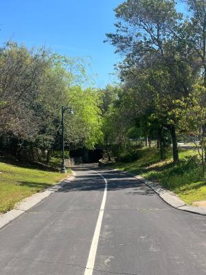 Clovis Trails