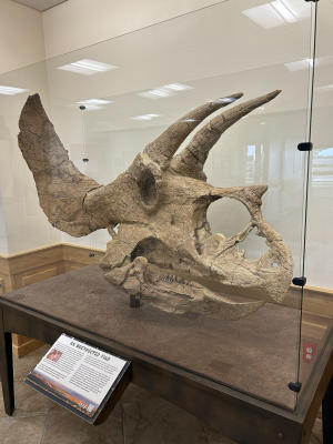 Pops the Triceratops at Weld County Admin Building